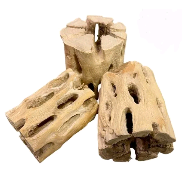 X3 Cholla Cactus Wood Stumps Aquariums Shrimp Cave Snails Fry Aquascape Pleco