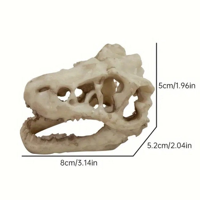 Small Nano Aquarium Dinosaur Skull Head Ornament Fish Tank Decoration