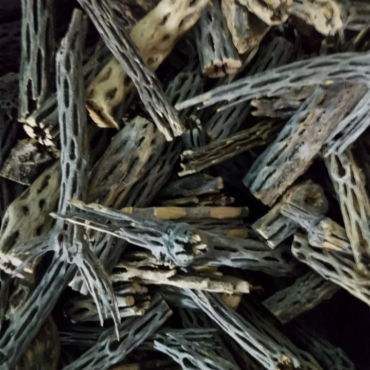 200g Cholla Cactus Wood Off cut Aquariums Shrimp Snails Pleco Aquascape Wood