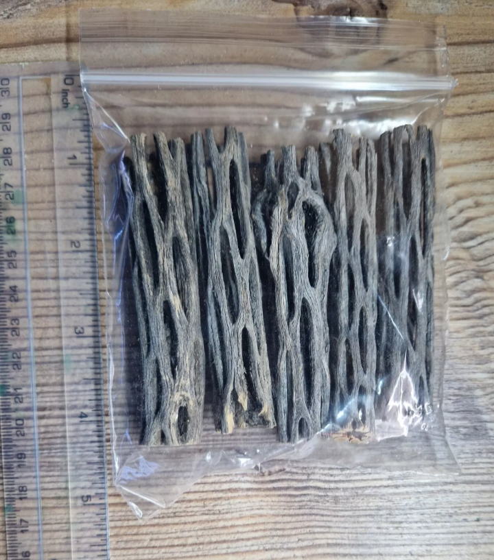 5X Cholla Cactus Wood Mini Aquariums Shrimp Snails Fry Aquascape Parrot