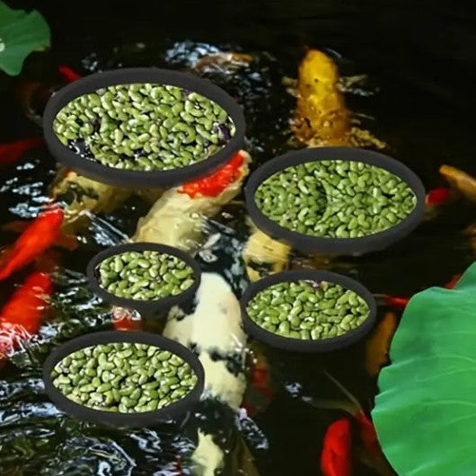 Aquarium Floating Plant Rings Feeding Portal Aquascaping Fogbit/Duckweed dividers 5pk