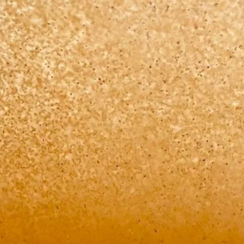 Live Baby Brine Shrimp Live Fish Food 400ml Aquatic Larvae Fish Food