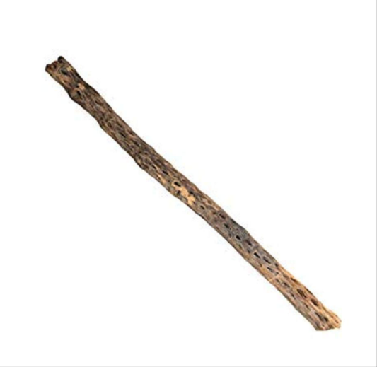 2 x Cholla Cactus Wood 10-12cm- Aquariums Shrimp Snails Fry Aquascape Parrot