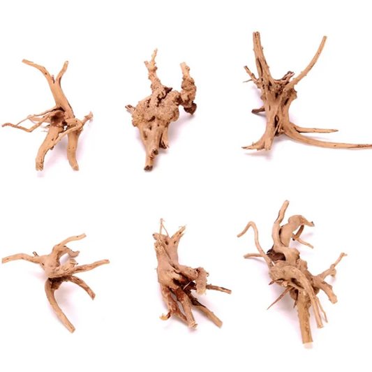 6pk Azalea Root Natural Wood Aquarium Tank Driftwood Decoration Small Nano