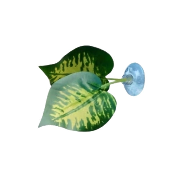 Suction Cup Betta Fish Rest Leaf Plastic Frog Platform Habitat