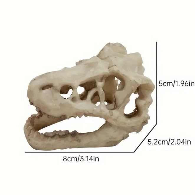 Small Nano Aquarium Dinosaur Skull Head Ornament Fish Tank Decoration