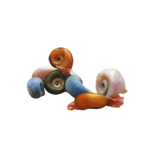 X20 Mixed Tropical Ramshorn Snails Aquarium Snails  -Various Sizes Algae Eater