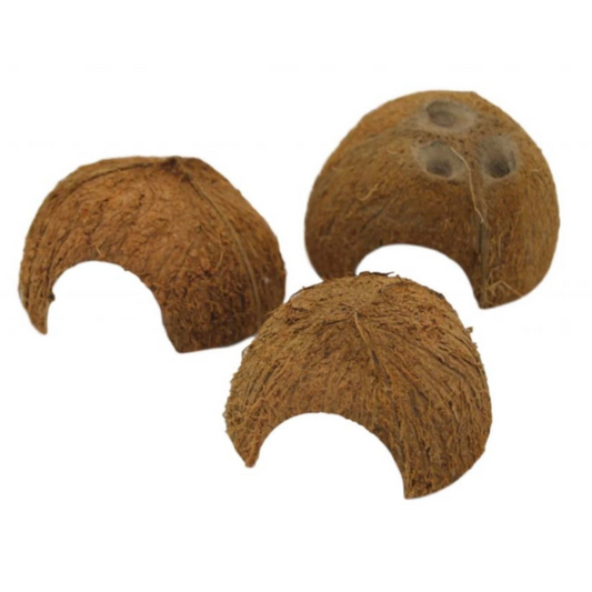 Half Coconut Shelter x 1 Aquarium Fish Tank Breeding Hideaway Shelter
