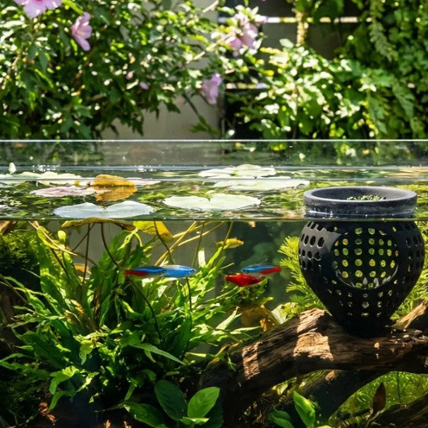 Floating Betta Fish & Shrimp Hammock | Aquarium Rest Perch Hide Breeding Cave