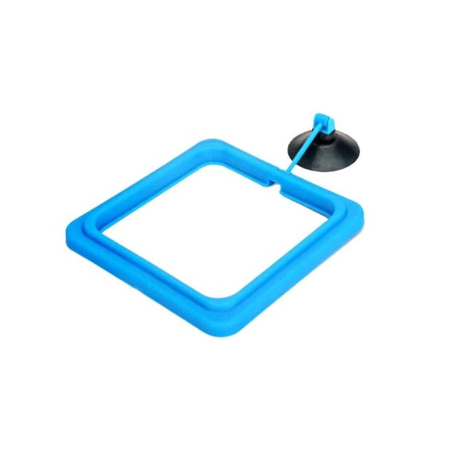 Fish Feeding Ring With Suction Cup Aquarium Tank Buoyancy Floating Food Feeder